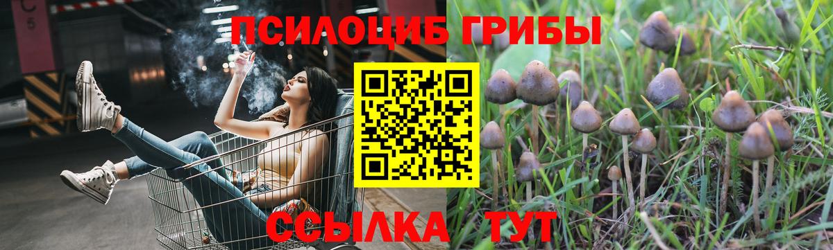 Галлюциногенные грибы Psilocybe  Псилоцибиновые грибы Psilocybine cubensis  Вход с VPN  Дюртюли 